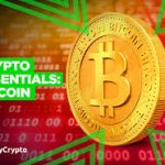 Understanding How to Work Bitcoin Essentials 2024