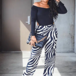 Amazing Outfits Ideas 2025 Zebra Print Pants Outfit Cute Looks