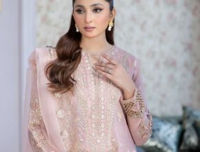 Amazing Suits Looks Sifa Summer Sale Offer 2024-25