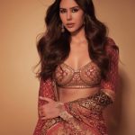 Cute Bikini Photos Actress Sonam Bajwa Hot and Sexy Picks