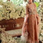 New Fashion Bridal Dresses Momina Teli Designer 2024-25 Looks