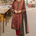 Stylish Suit Back Design Zeen Azadi Sale 2024-25 Flat 50% Off