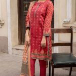 Stylish Suit Back Design Zeen Azadi Sale 2024-25 Flat 50% Off