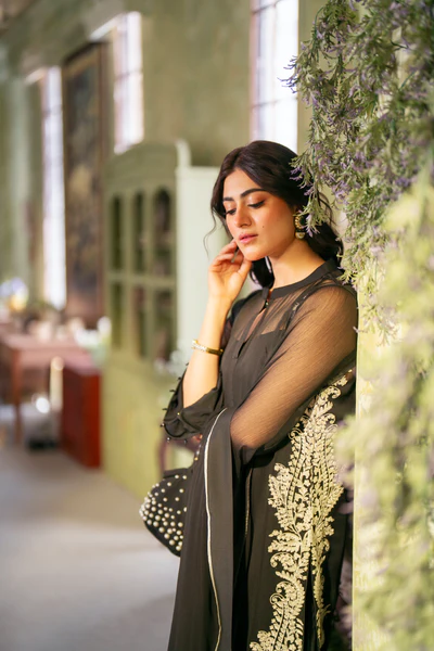 Supper Azadi Day Sale Suit Brands Collection For Women 2024-25