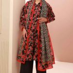 New Zellbury Cambric Suit Ideas 2025 Unstitched With Price