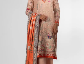 Sana Safinaz Dress Mark Winter Clearance Sale Offer 2025 Flat 50% Off